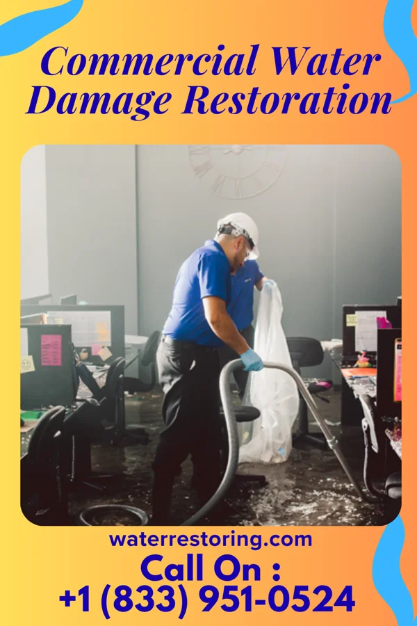Commercial Water Damage Restoration in Genola, MN